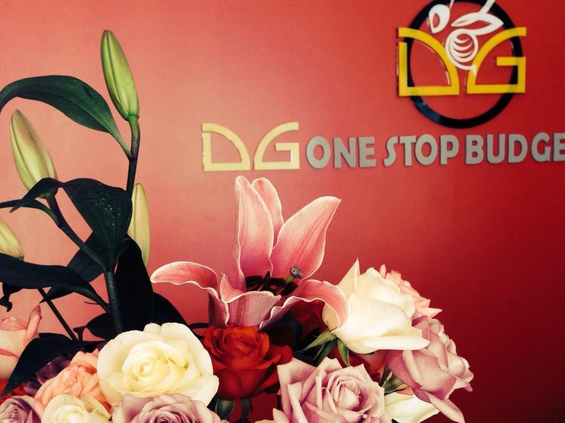 Dg One Stop Budget 2* Ipoh